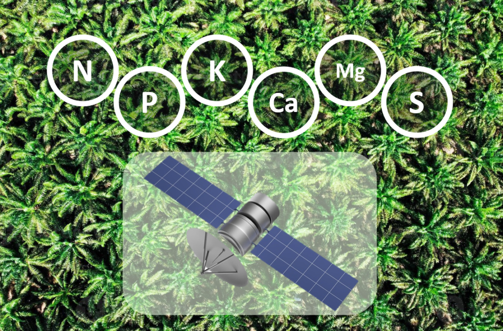 satellite