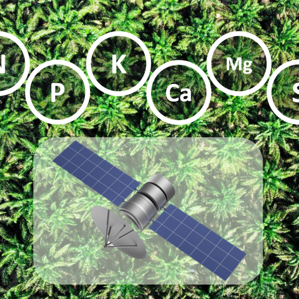 satellite e1774493318770.png
